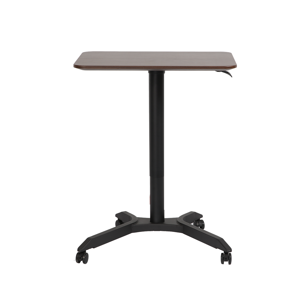 Ergonomic Modern Pneumatic Height Adjustable Desk Removable Sit Stand Desk with Wheels